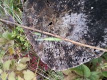 20161015_124330.jpg
