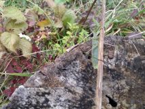20161015_124334.jpg