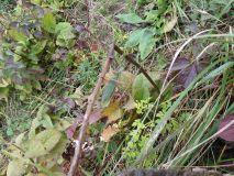 20161015_124338.jpg