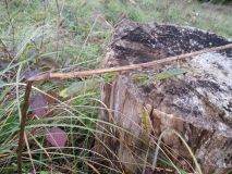 20161015_130921.jpg