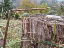 20161015_131030_HDR.jpg