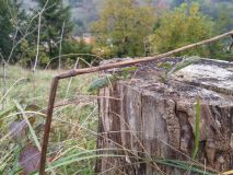 20161015_131033_HDR.jpg